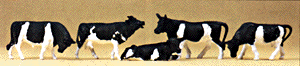 Image for 590-14155 Cows                   5/