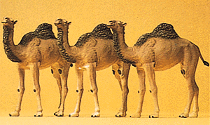 Image for 590-20397 Camels 1-Hump 3/