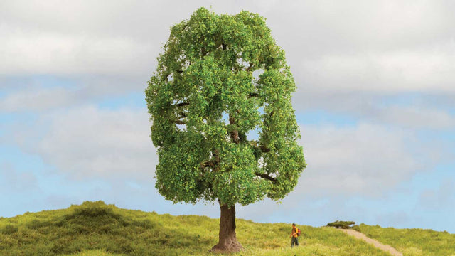 Image for 528-20100 Ash Tree