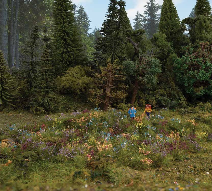 Image for 949-1096 Assorted Wildflowers 250/