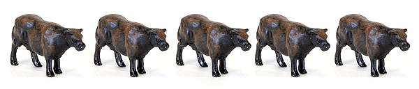 Image for 949-6050 Cattle Beef 16/