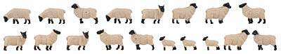 Image for 272-151918 Black Headed Sheep