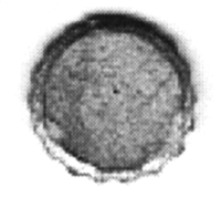 Image for 464-689 Bottle Cap Sign