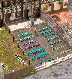Image for 189-1213 Cabbage & Lettuce