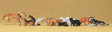 Image for 590-14165 Cats & Dogs Assorted 12/