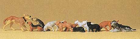 Image for 590-14165 Cats & Dogs Assorted 12/