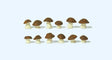 Image for 590-45240 Mushrooms