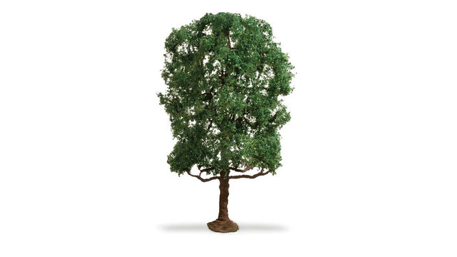 Image for 528-20105 Chestnut Tree