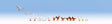 Image for 528-15772 Chickens & Geese 17/