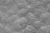 Image for 570-91803 Sht Choppy/Deep Water