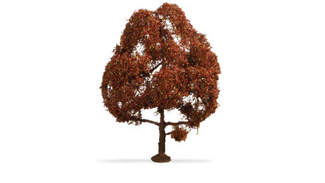 Image for 528-20150 Copper Beech Tree