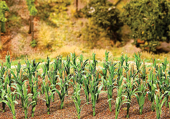 Image for 272-181250 Maize Plants 36/