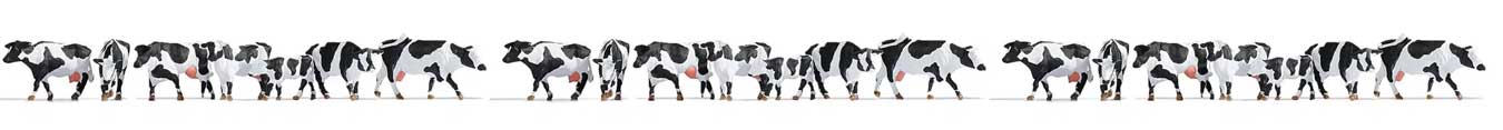 Image for 949-6092 COWS - XL SET