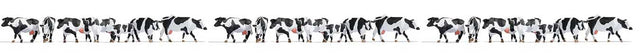 Image for 949-6092 COWS - XL SET