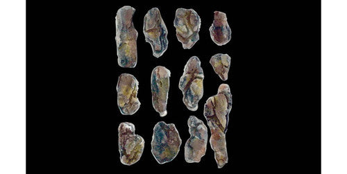 Woodland Scenics 1246 Creek Bed Rocks Rock Mold A Scale