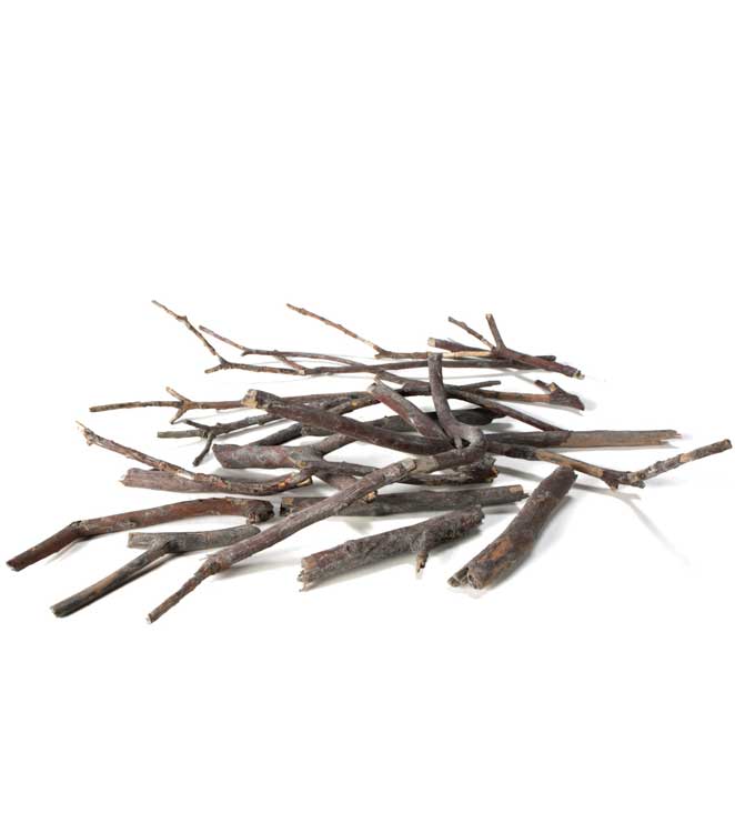 Image for 785-6487 All Game Terrn Dead Fall