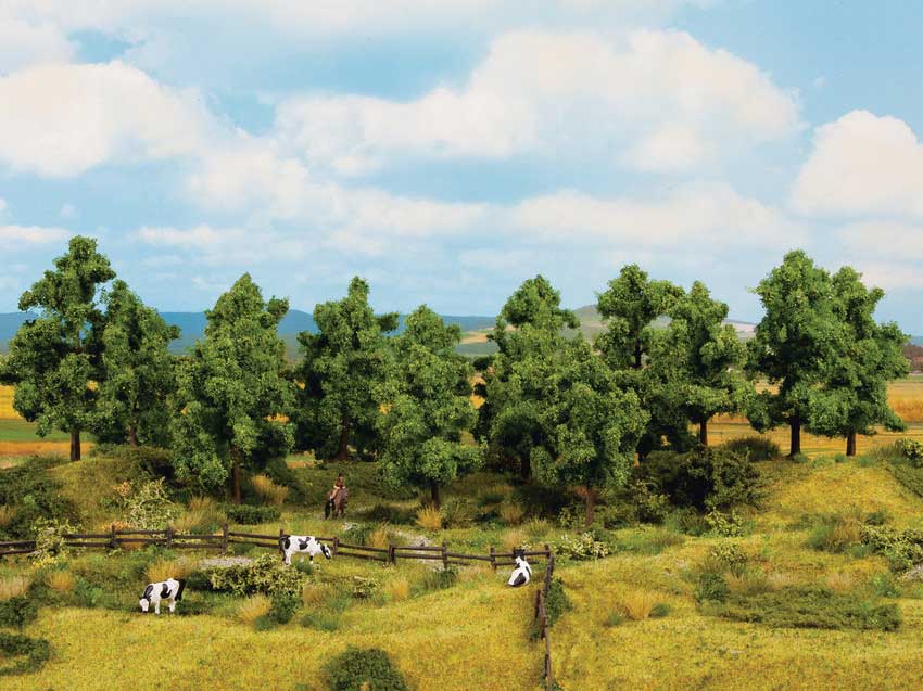 Image for 528-24600 Dcds Tree 10-14cm 8/