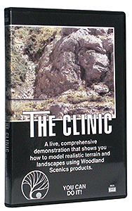 Woodland Scenics 970 DVD -- The Clinic (Landscaping How-To) A Scale
