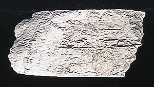 Woodland Scenics 1217 Earth Colors Liquid Pigment(TM) - 4oz 118mL Bottle -- Concrete A Scale