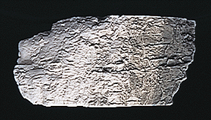 Woodland Scenics 1218 Earth Colors Liquid Pigment(TM) - 4oz 118mL Bottle -- Stone Gray A Scale