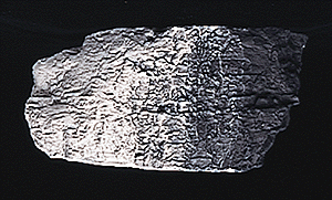 Woodland Scenics 1220 Earth Colors Liquid Pigment(TM) - 4oz 118mL Bottle -- Black A Scale