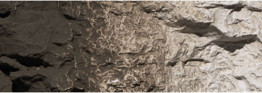 Woodland Scenics 1221 Earth Colors Liquid Pigment(TM) - 4oz 118mL Bottle -- Raw Umber A Scale