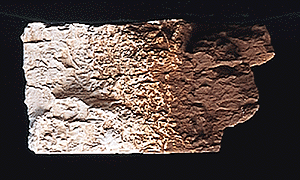 Woodland Scenics 1222 Earth Colors Liquid Pigment(TM) - 4oz 118mL Bottle -- Burnt Umber A Scale