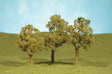 Image for 160-32008 Elm Trees 3-4" 3/