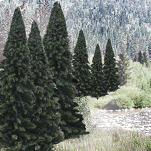 evergreen_tree_value_pack_read