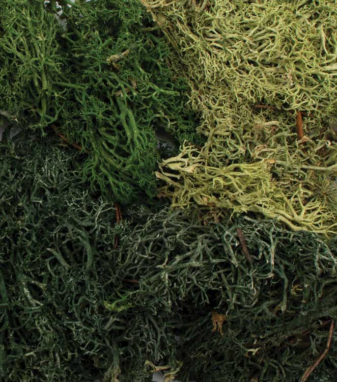 Image for 785-6501 All Game Smmr Mix EZ Bush