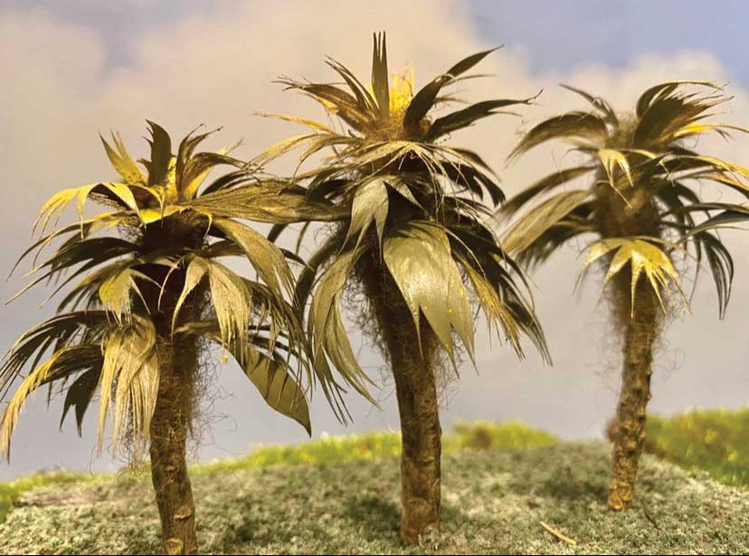 Image for 295-T26 Fan Palm Trees Small  3/