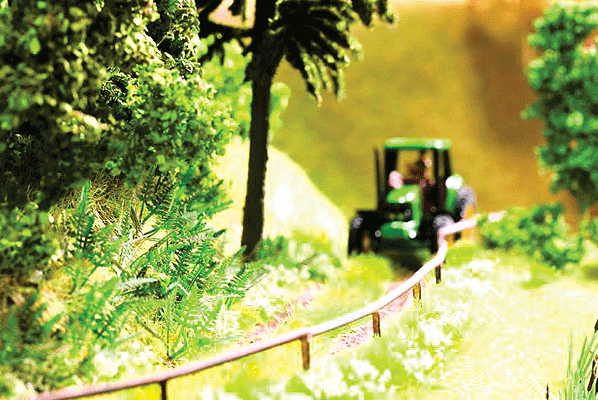 Image for 528-14100 Ferns 9/