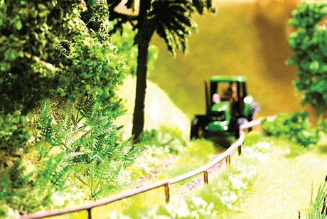 Image for 528-14100 Ferns 9/