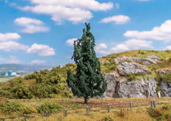 Image for 272-181702 Fir Tree