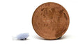 Image for 179-870984 Fish,  5/