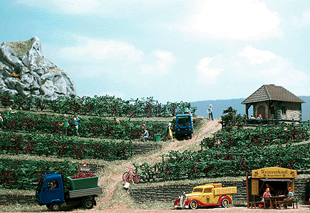 Image for 189-1200 Grape Vine Field