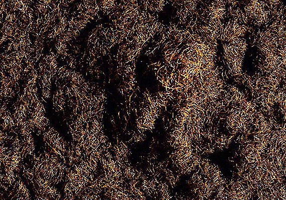 Image for 272-170727 Grass dark brown