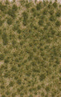 Image for 189-3536 Grass Tufts,2 Clr Spng Ln