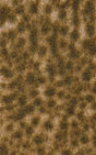 Image for 189-3539 Grass Tufts,2 Clr Fall Ln