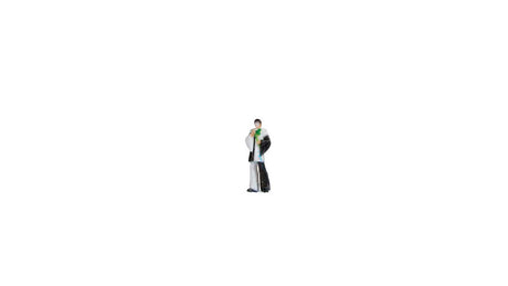 Image for 528-10414 Harlequin