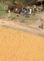 Image for 949-1143 Harvest Wheat Field
