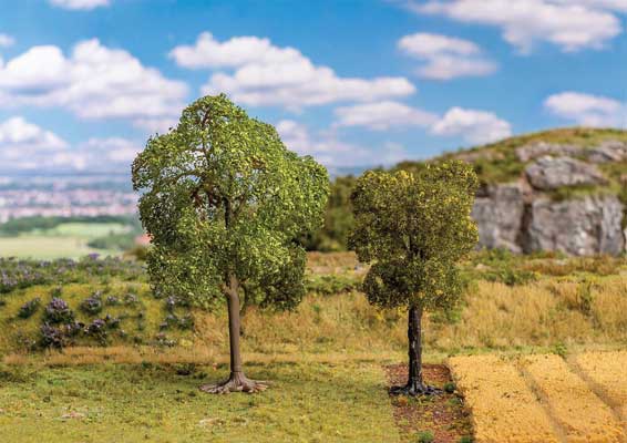 Image for 272-181801 Lime and Checker Tree