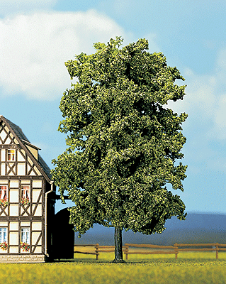 Image for 528-21780 Lime tree 7 1/4