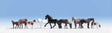 Image for 949-6074 Majestic Horses 9/