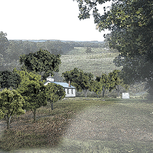 Woodland Scenics 1570 Mixed Green Deciduous Tree Pack - Ready Made Trees(TM) -- 3/4 to 2" 1.9 to 5.1cm pkg(38) A Scale