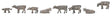 Image for 272-155904 Mountain Cows 8/