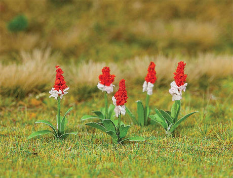 Image for 272-181267 Orchid Primroses 32/