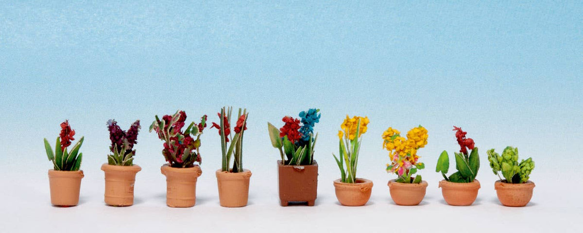 Image for 528-14080 Ornamental Plants #4 9/