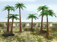Image for 160-32015 Palm Trees 4"-6" 6/