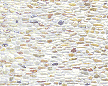 Image for 570-91563 Sht Fld Stn Bge .250" 2/